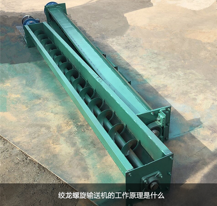 蛟龙91免费小视频图片